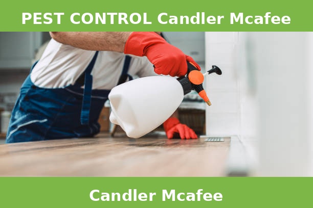 PEST CONTROL Candler Mcafee
